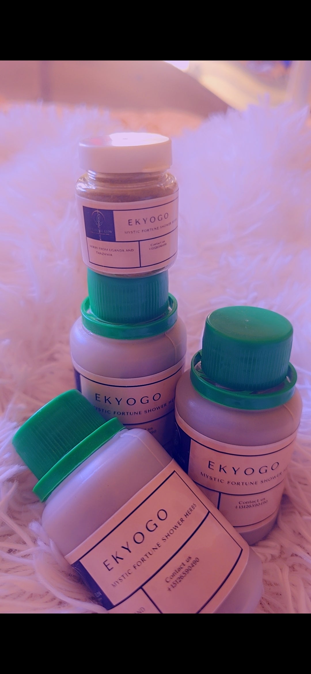 ZX EKYOGO