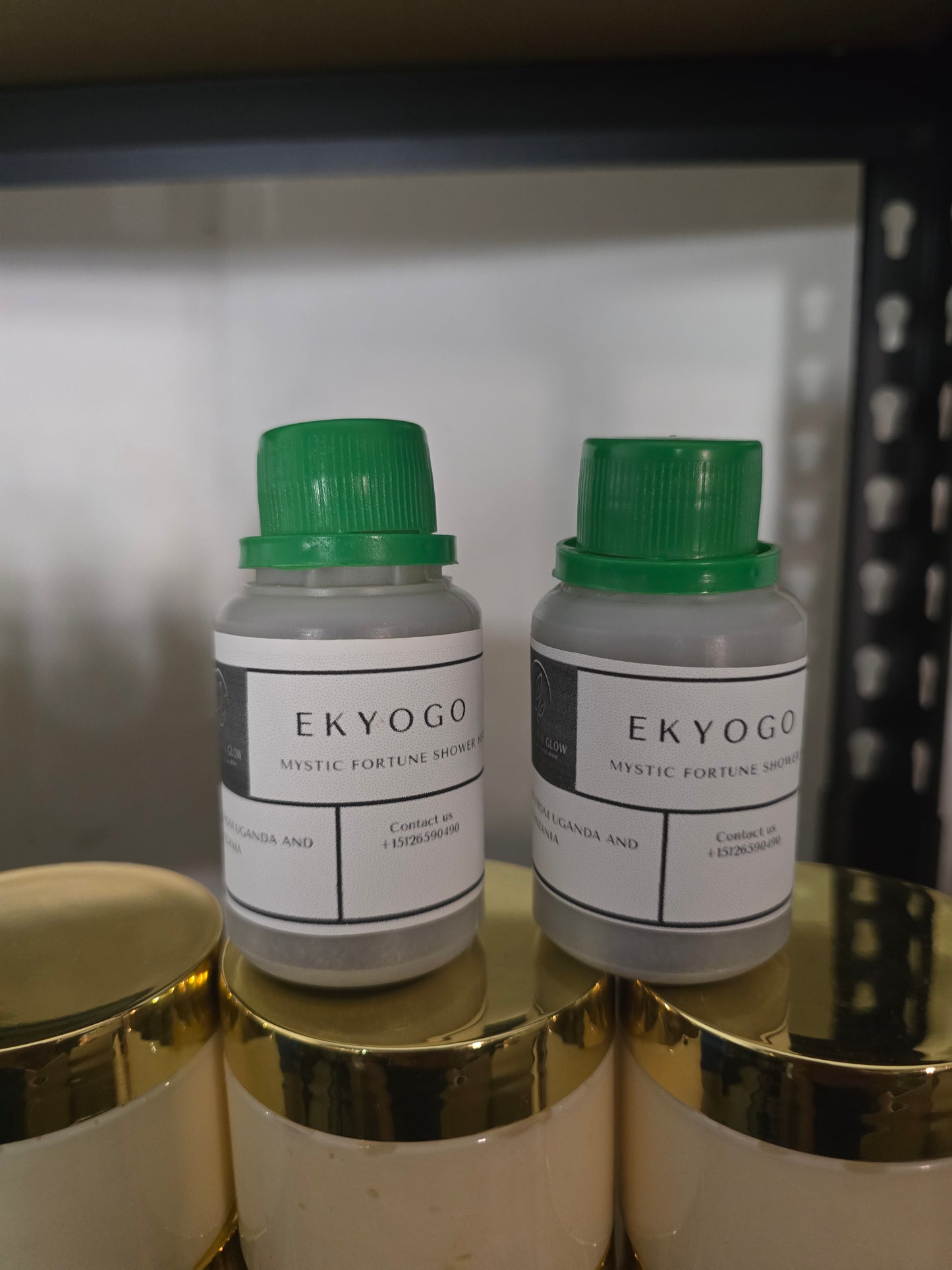 ZX   EKYOGO